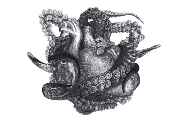 Kraken 2fa