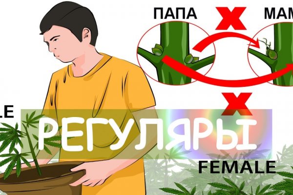 Войти в кракен