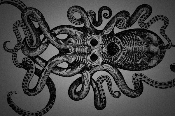 Kraken13at